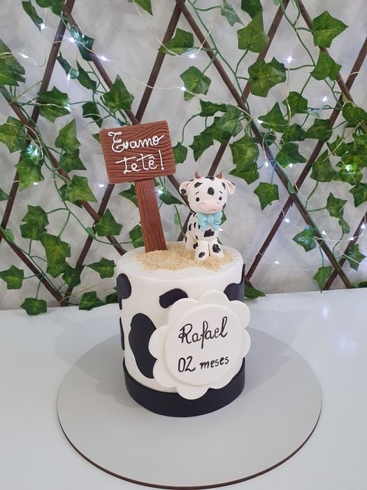 Rafael 2 Meses – Vaquinho